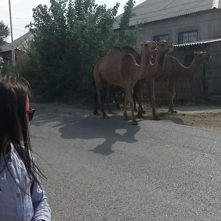 Vip Hostel Turkistan Eksteriør bilde