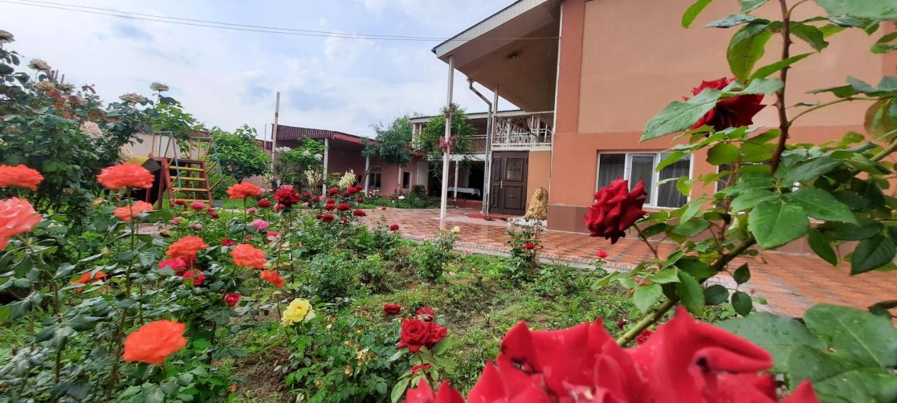 Vip Hostel Turkistan Eksteriør bilde